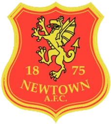 Newtown badge