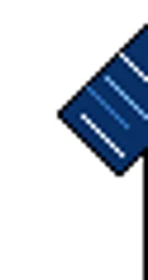 Pachuca badge