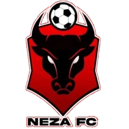 Toros Neza badge